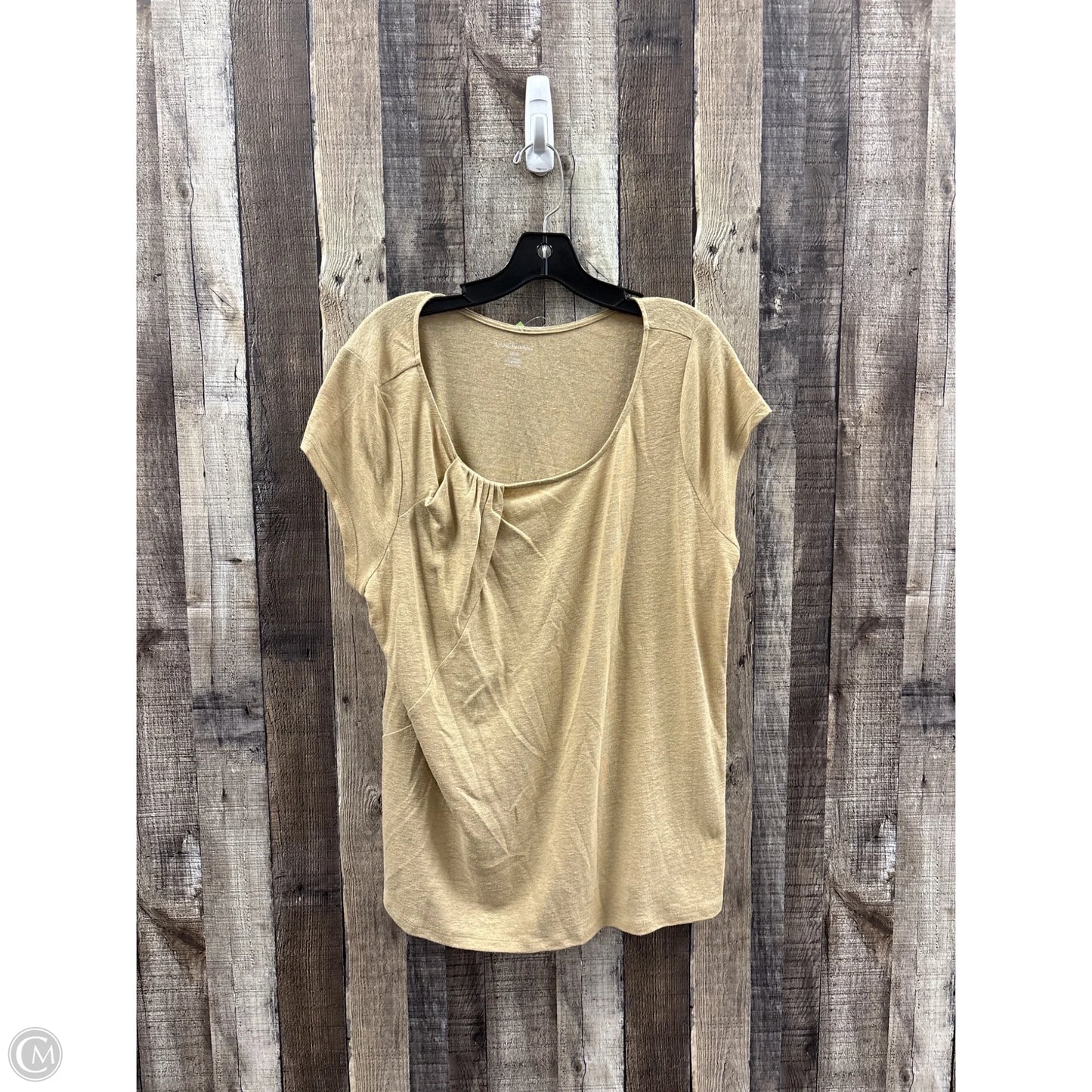 Top Short Sleeve By Lane Bryant In Brown, Size: Xl