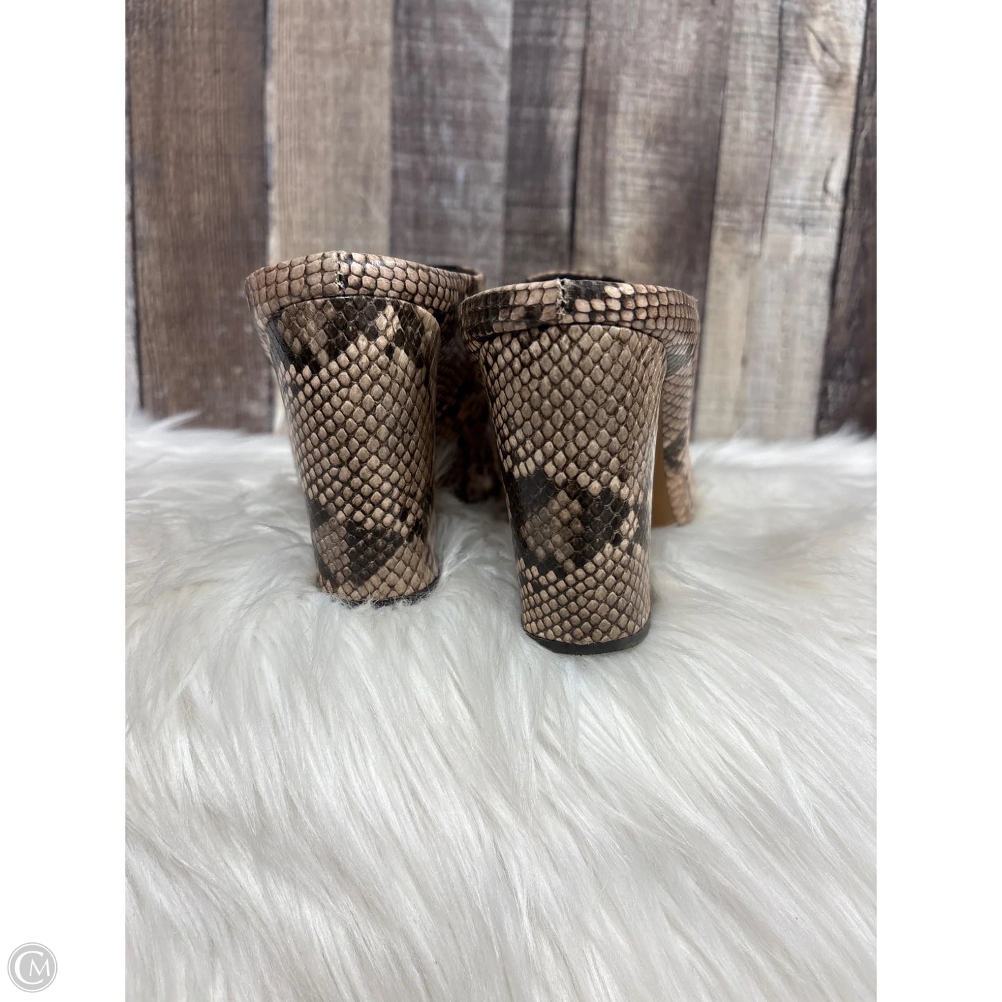 Shoes Heels Block By Steve Madden In Snakeskin Print, Size: 9.5