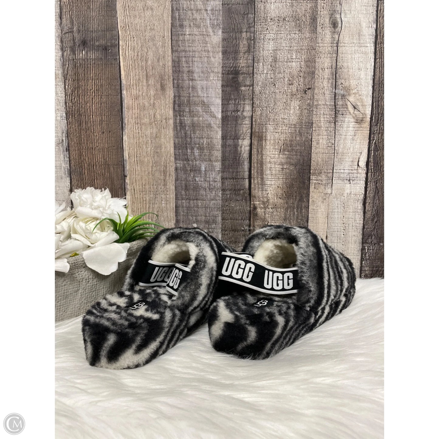 Slippers Designer By Ugg In Black & White