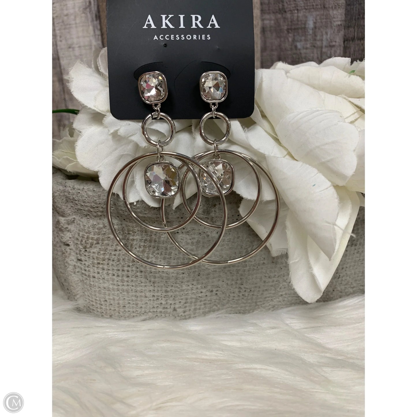 Earrings Hoop By Akira