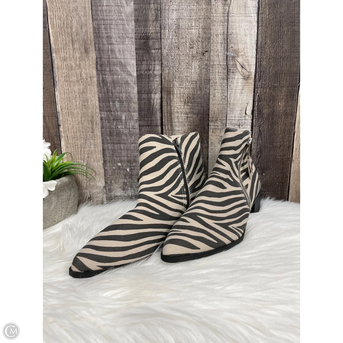 Boots Ankle Heels By Worthington In Zebra Print, Size: 8.5