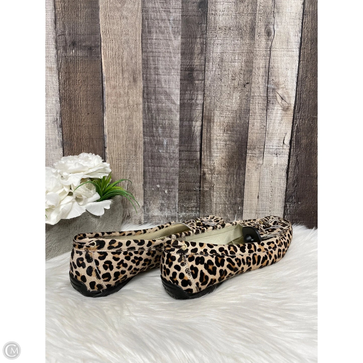 Shoes Flats By Sperry In Animal Print, Size: 9.5