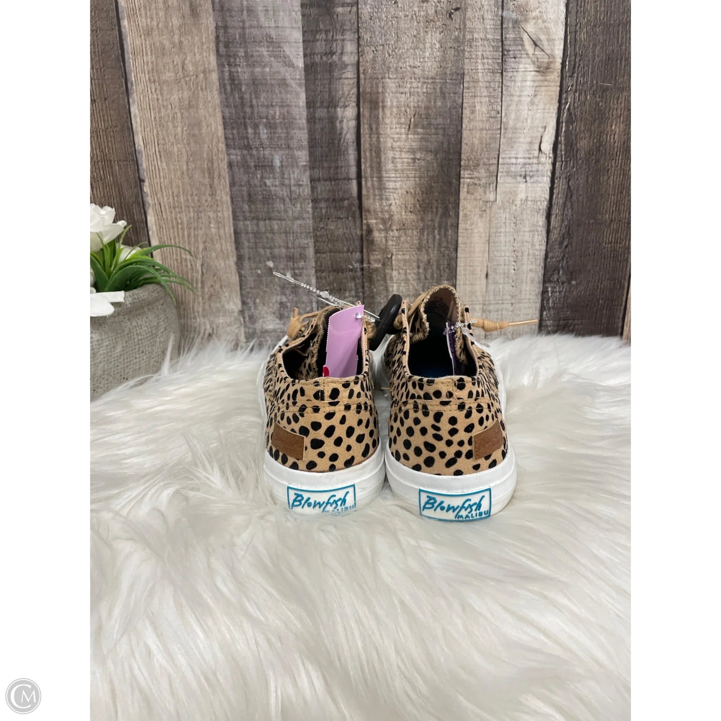Shoes Sneakers By Blowfish In Animal Print, Size: 7.5