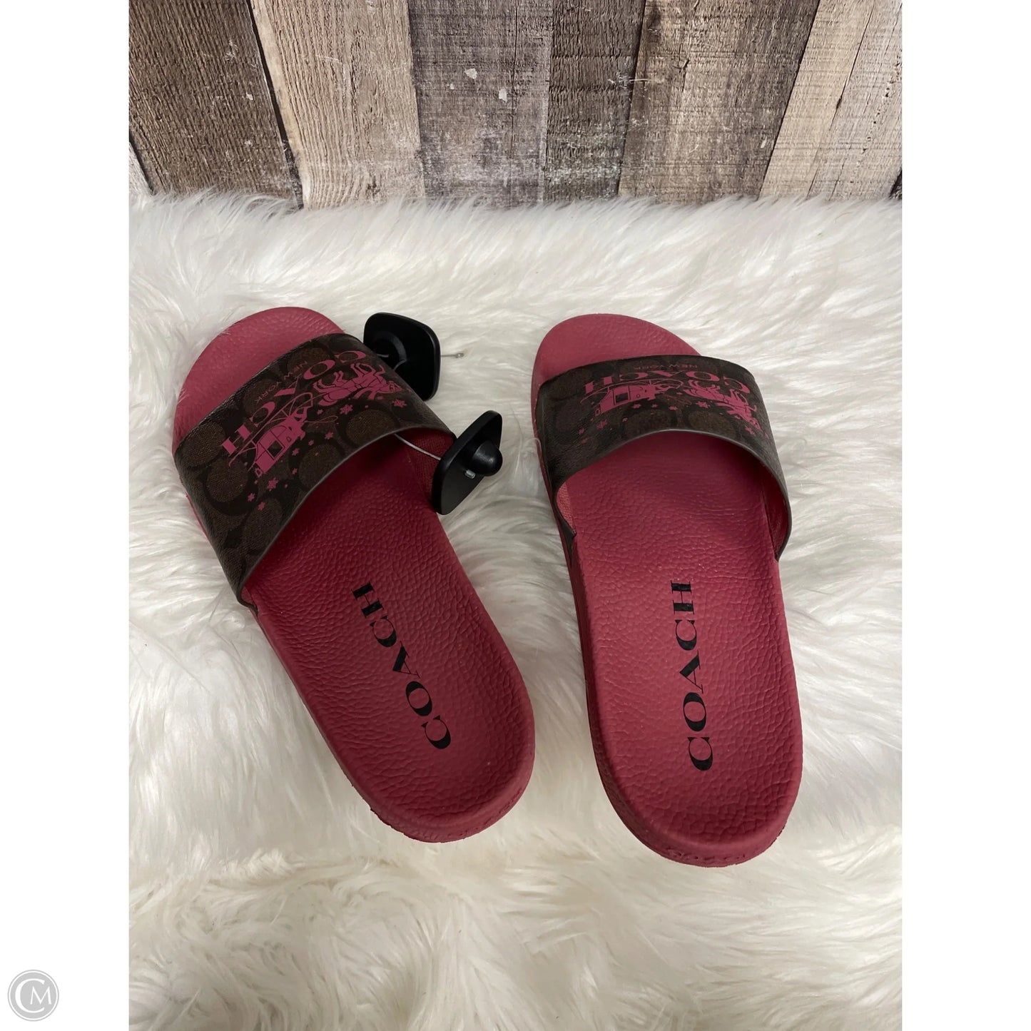 Sandals Designer By Coach In Brown, Size: 10