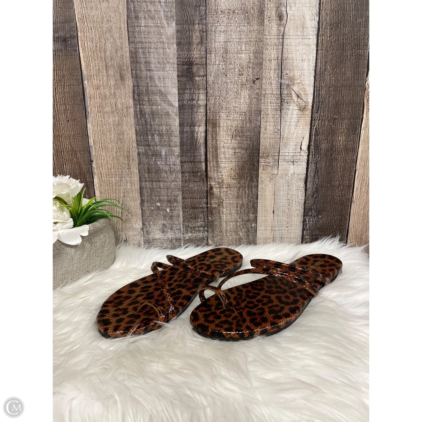 Sandals Flats By Cushionaire In Animal Print, Size: 8