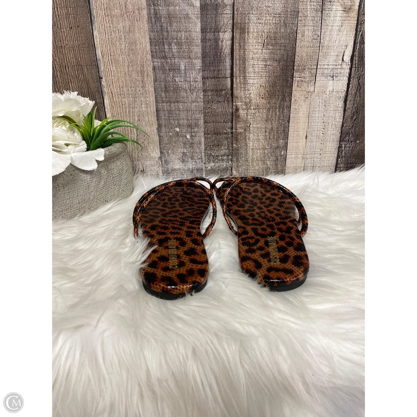 Sandals Flats By Cushionaire In Animal Print, Size: 8
