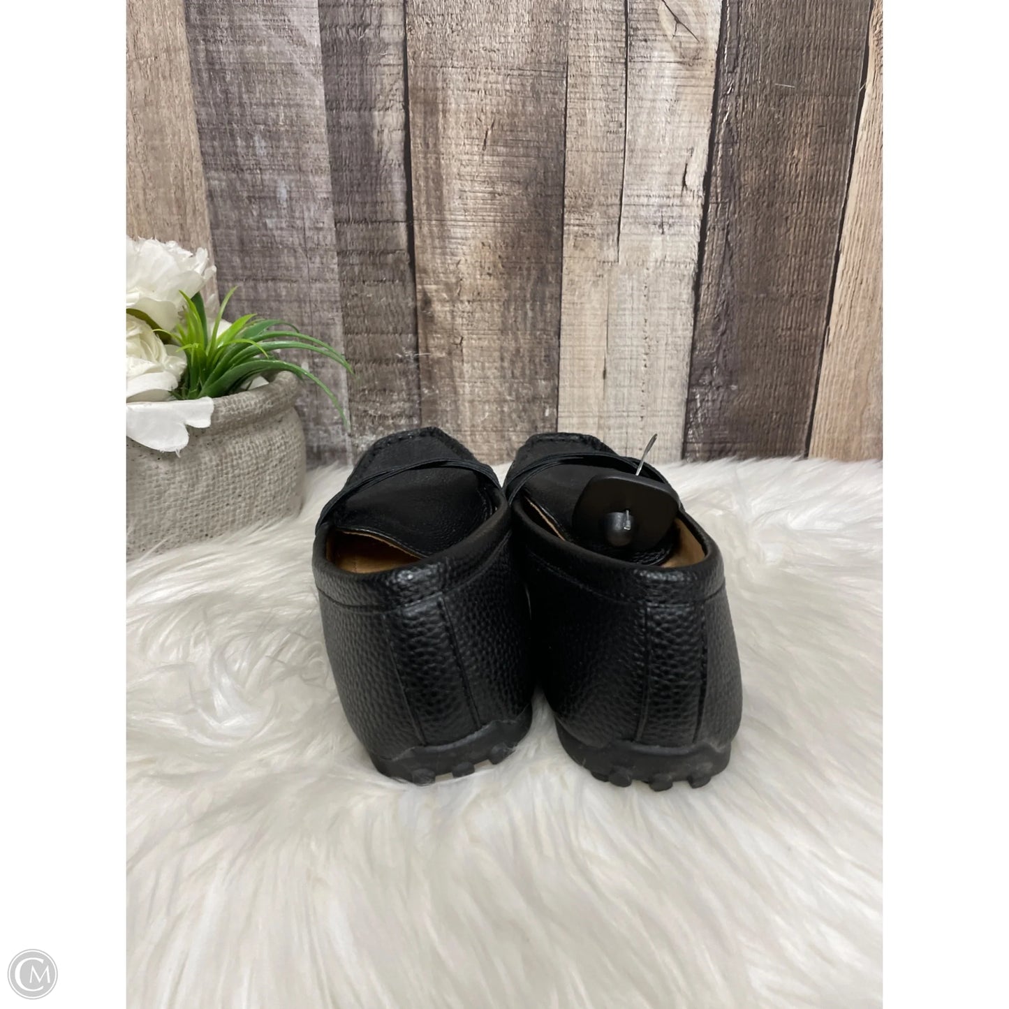 Shoes Flats By St Johns Bay In Black, Size: 7