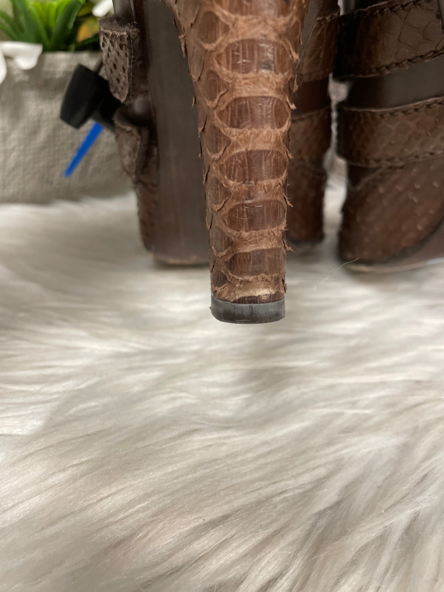 Shoes Luxury Designer By Alexander Mcqueen Size: 7