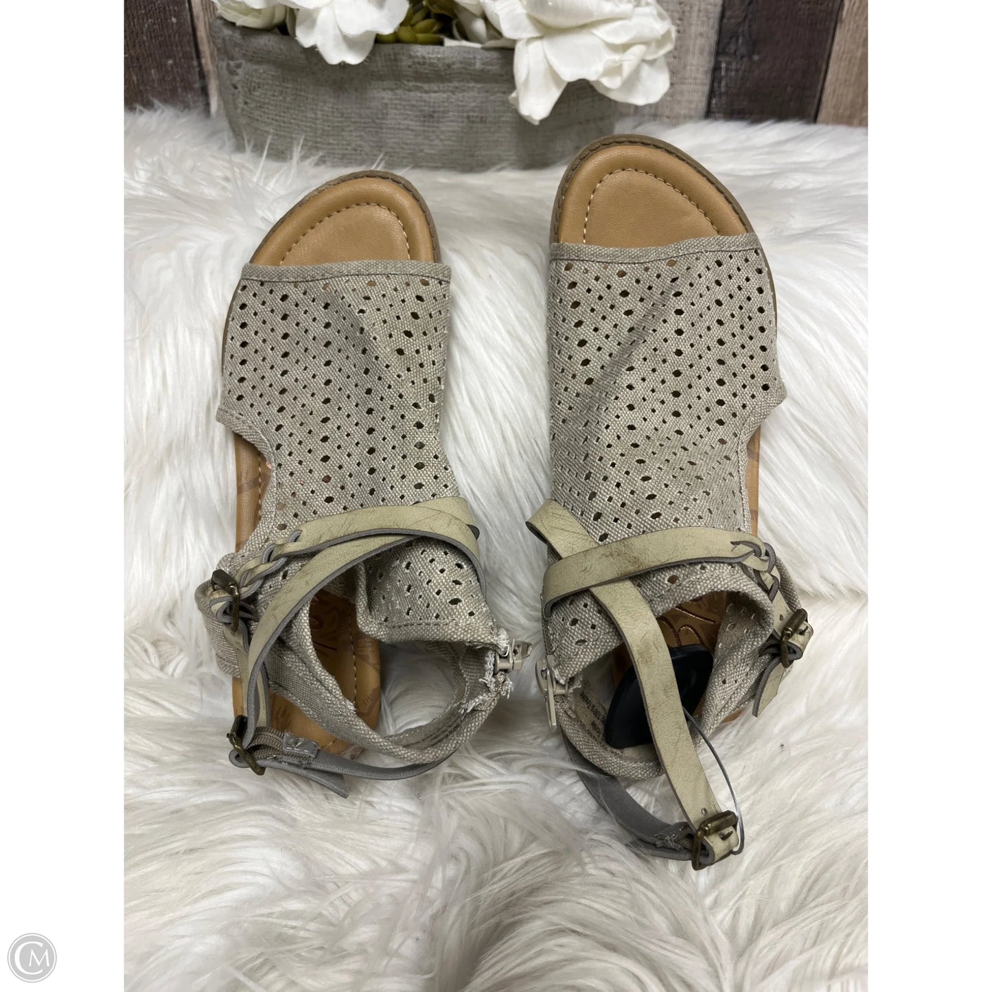 Shoes Flats By Blowfish In Taupe, Size: 8