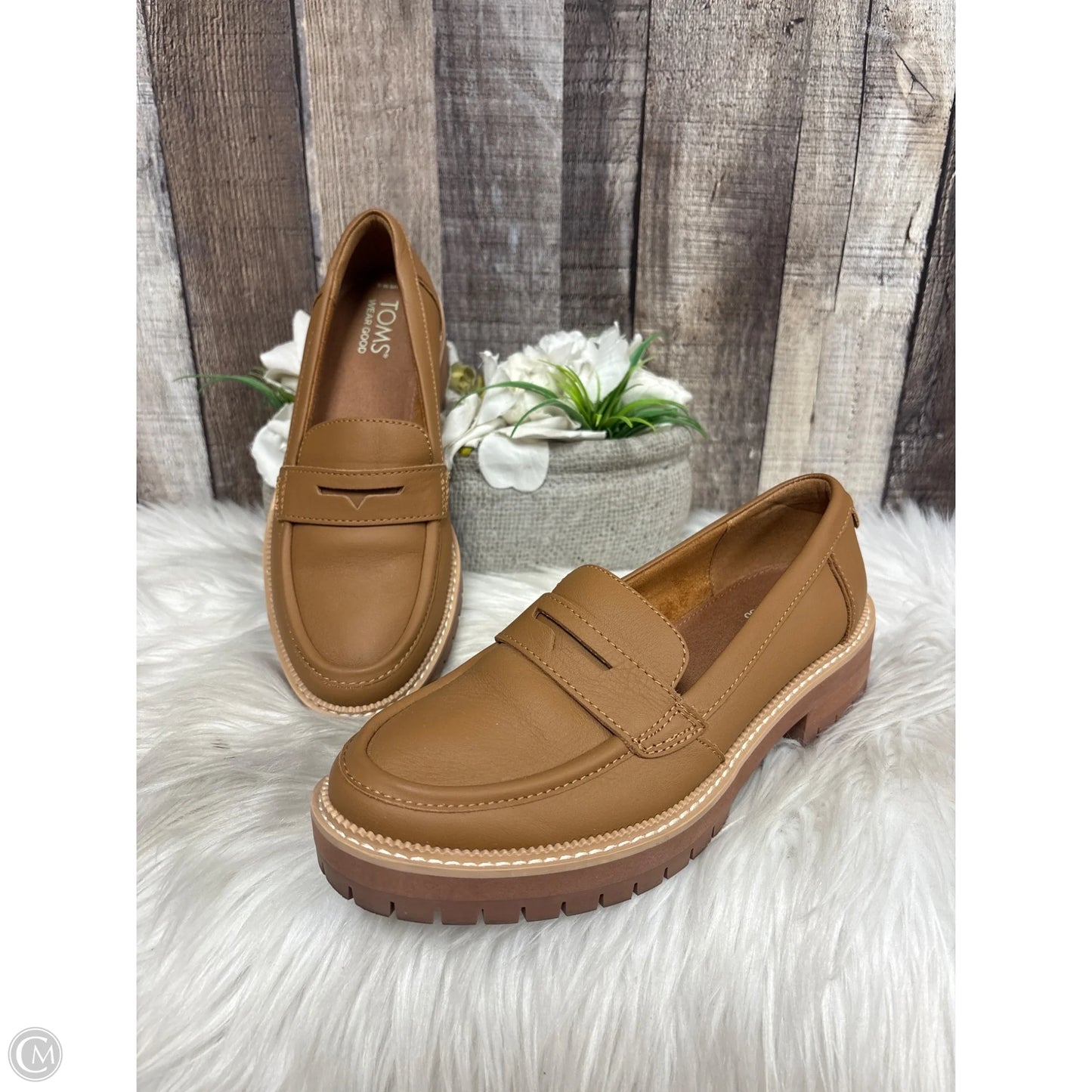 Shoes Flats By Toms In Brown, Size: 6