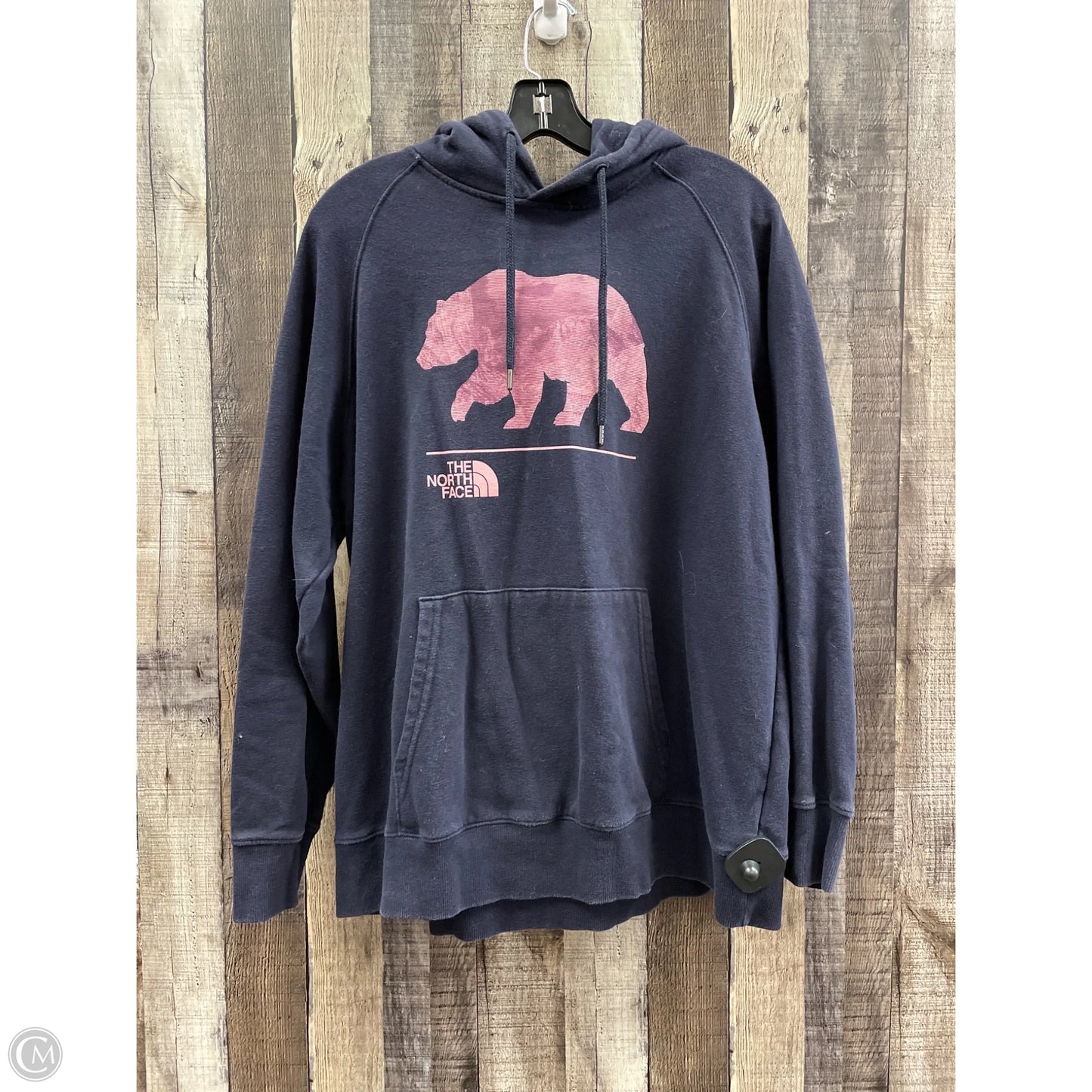 Sweatshirt Hoodie By The North Face In Navy, Size: Xl