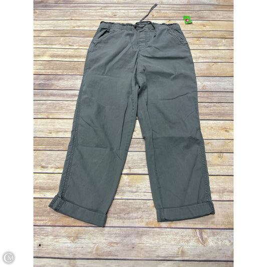 Pants Cargo & Utility By Sonoma In Grey, Size: S