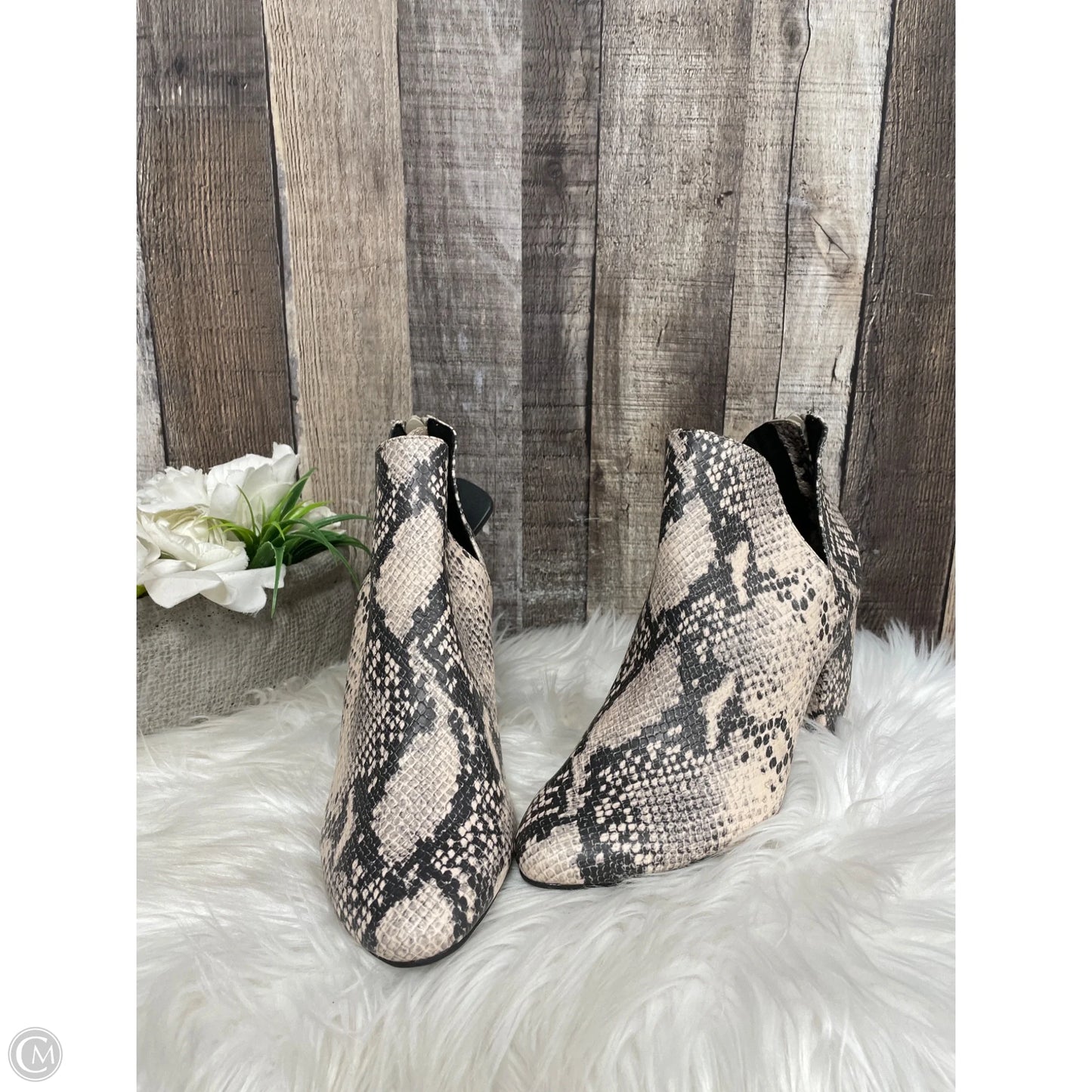 Shoes Heels Block By Massini In Animal Print, Size: 7