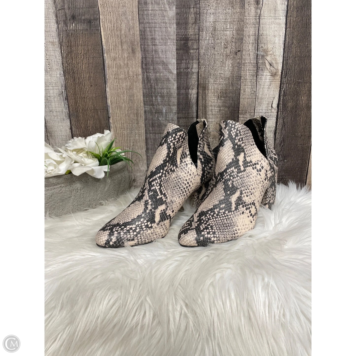Shoes Heels Block By Massini In Animal Print, Size: 7