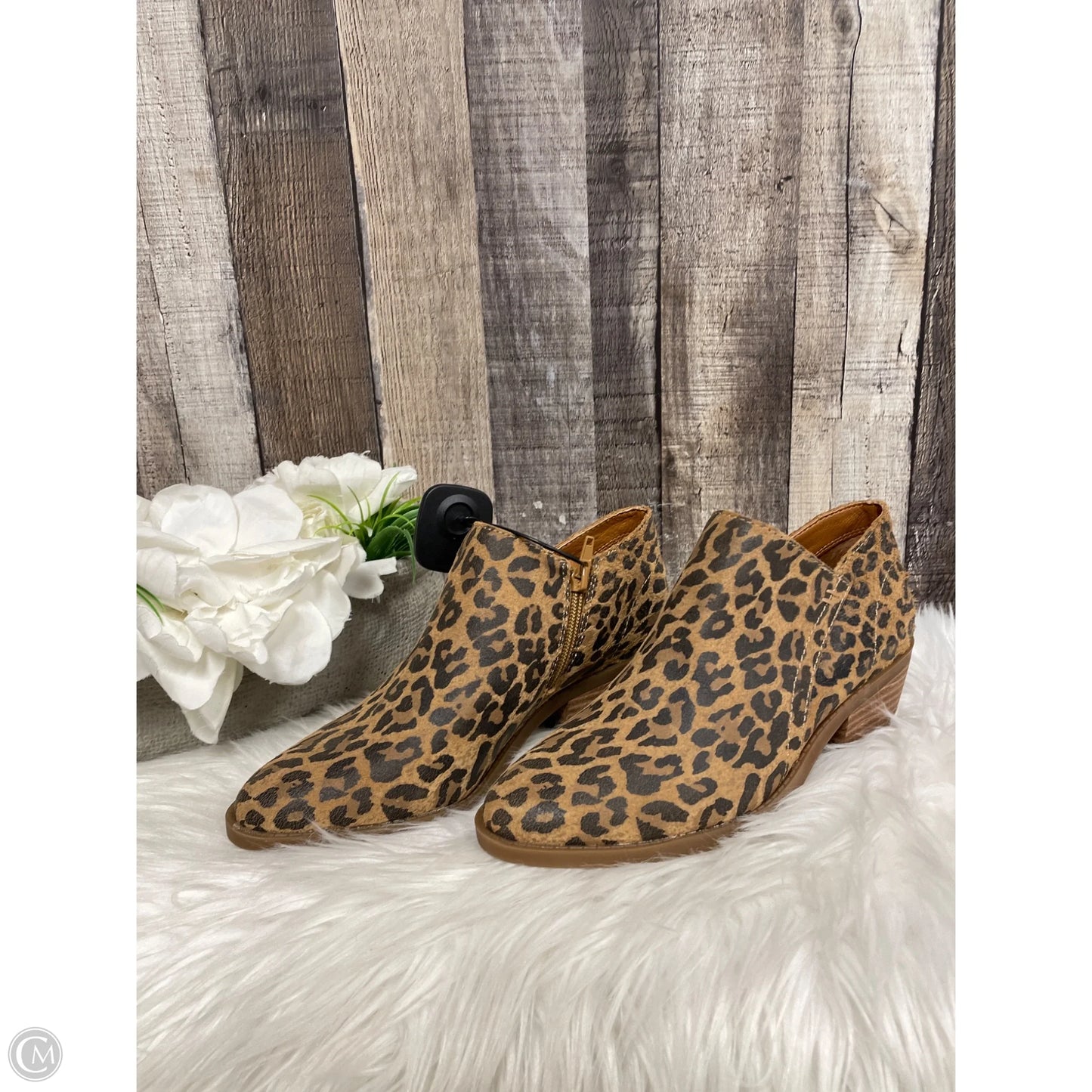 Boots Ankle Heels By Lucky Brand In Leopard Print, Size: 7