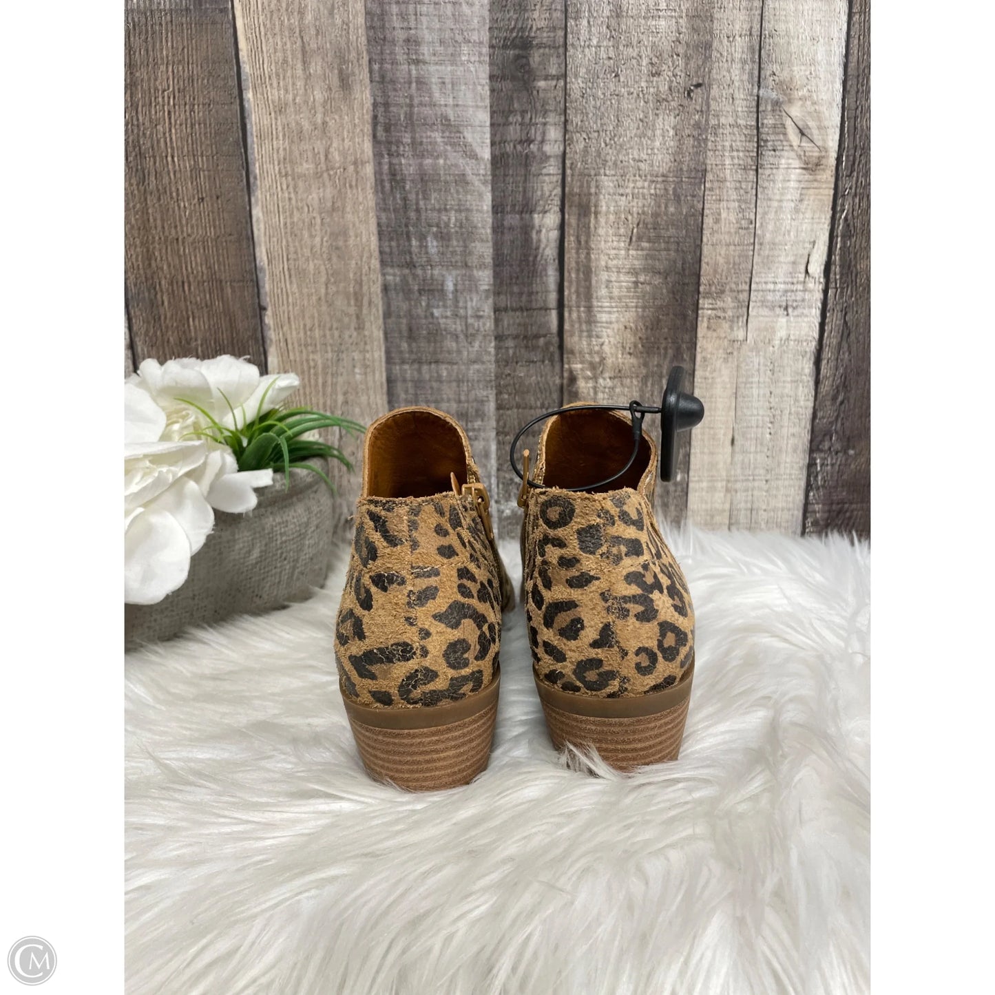 Boots Ankle Heels By Lucky Brand In Leopard Print, Size: 7