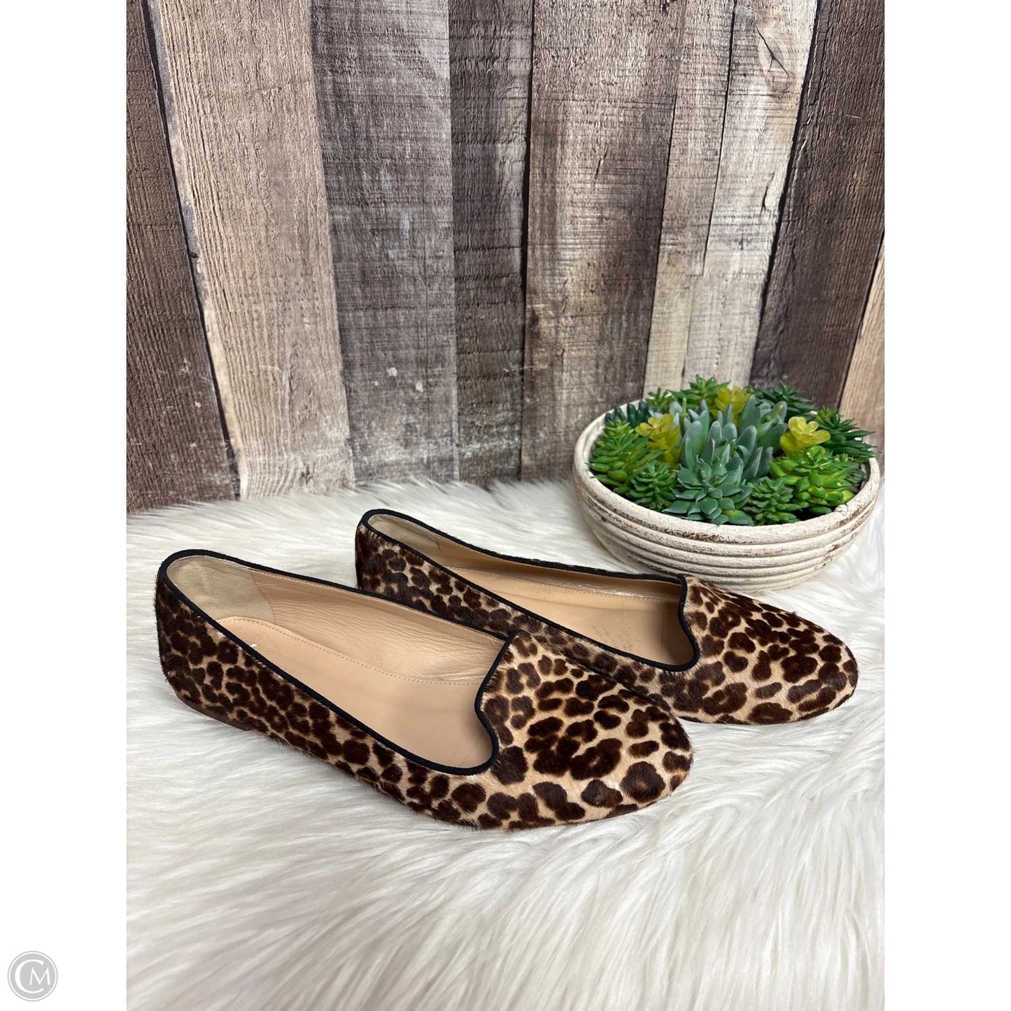 Shoes Flats By J. Crew In Animal Print, Size: 6.5