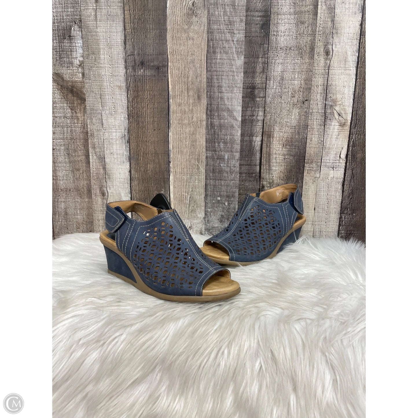 Sandals Heels Wedge By Earth In Blue, Size: 9