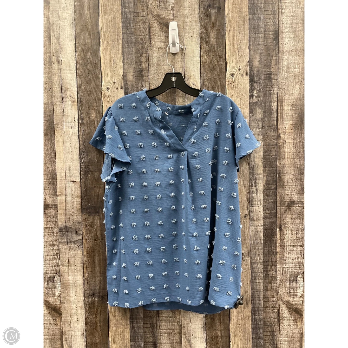 Top Short Sleeve By Cmf In Blue, Size: 2x
