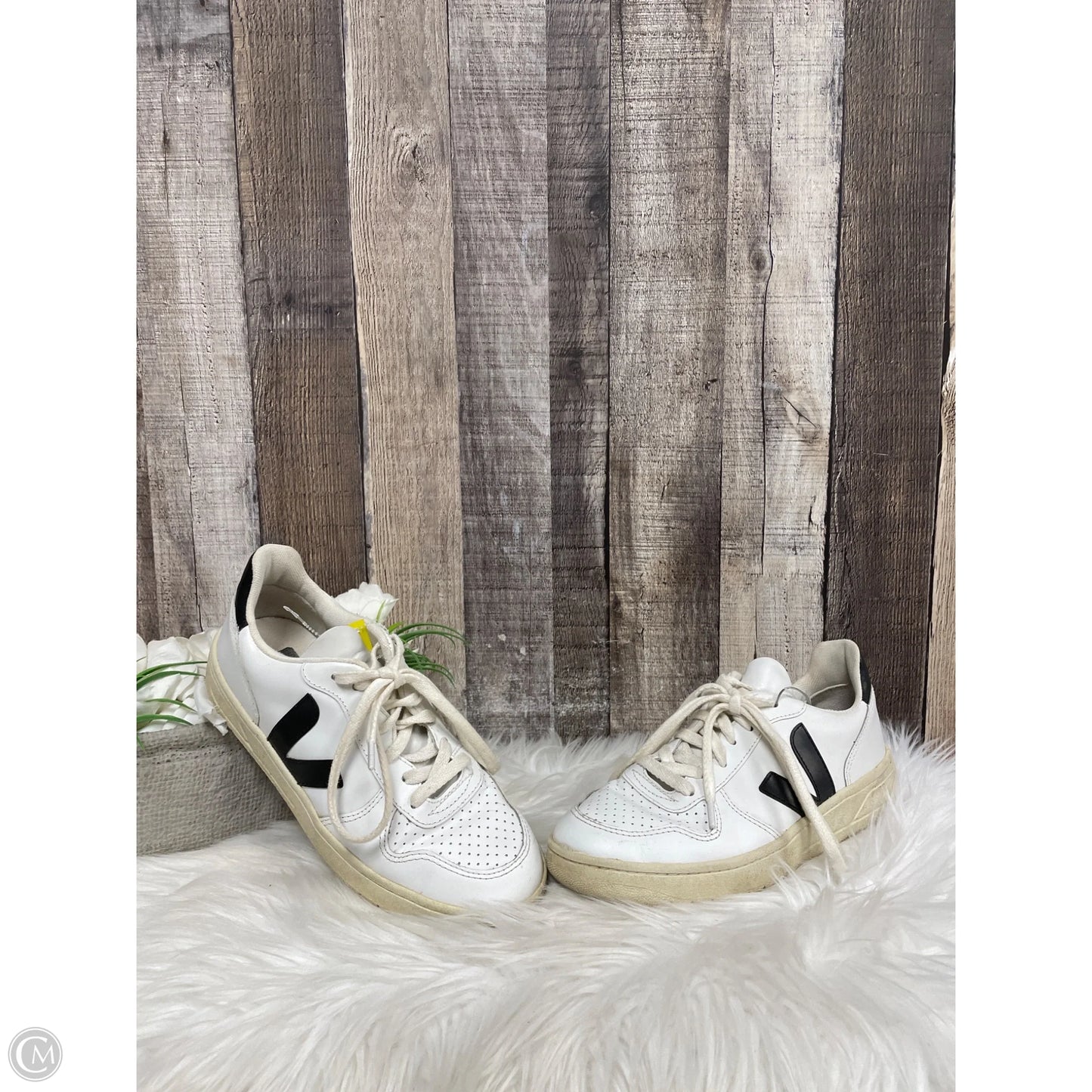 Shoes Sneakers By Veja In White, Size: 6