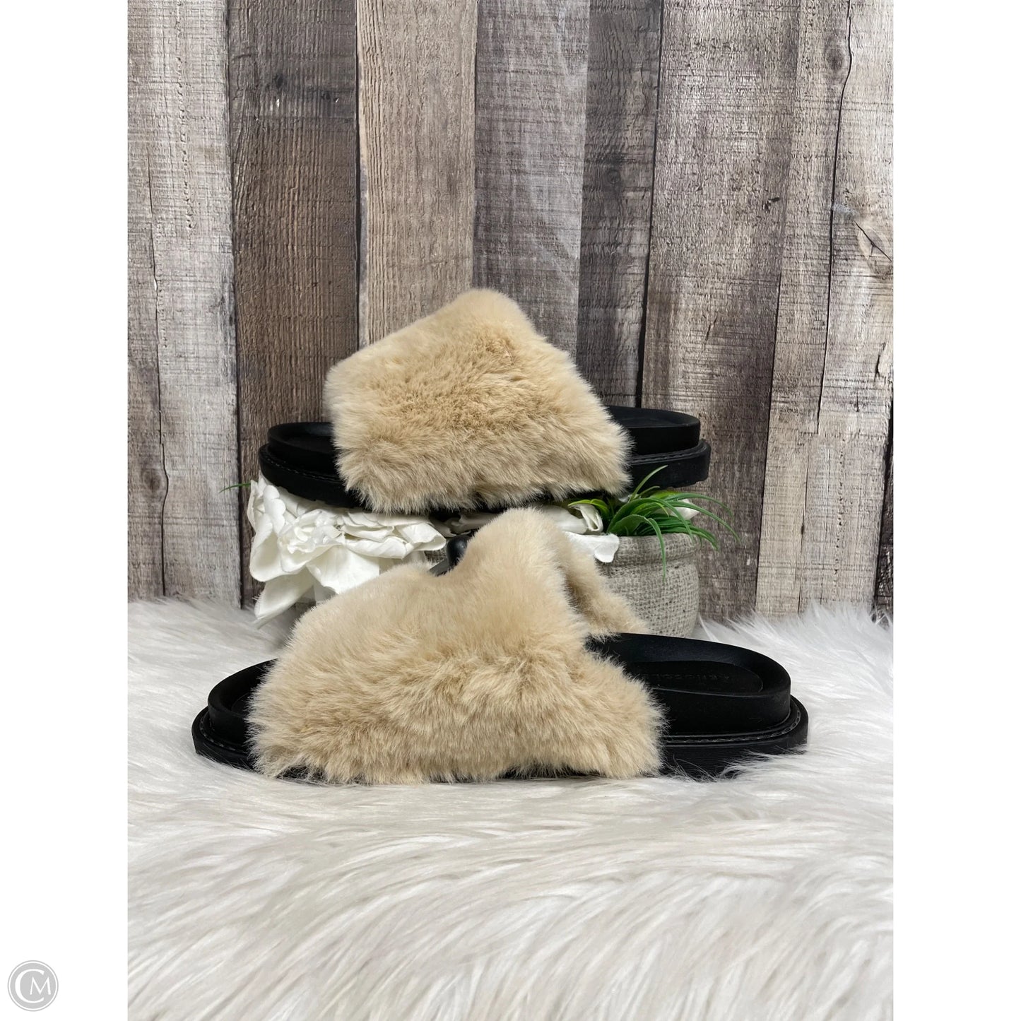 Sandals Flats By Aerosoles In Tan, Size: 10