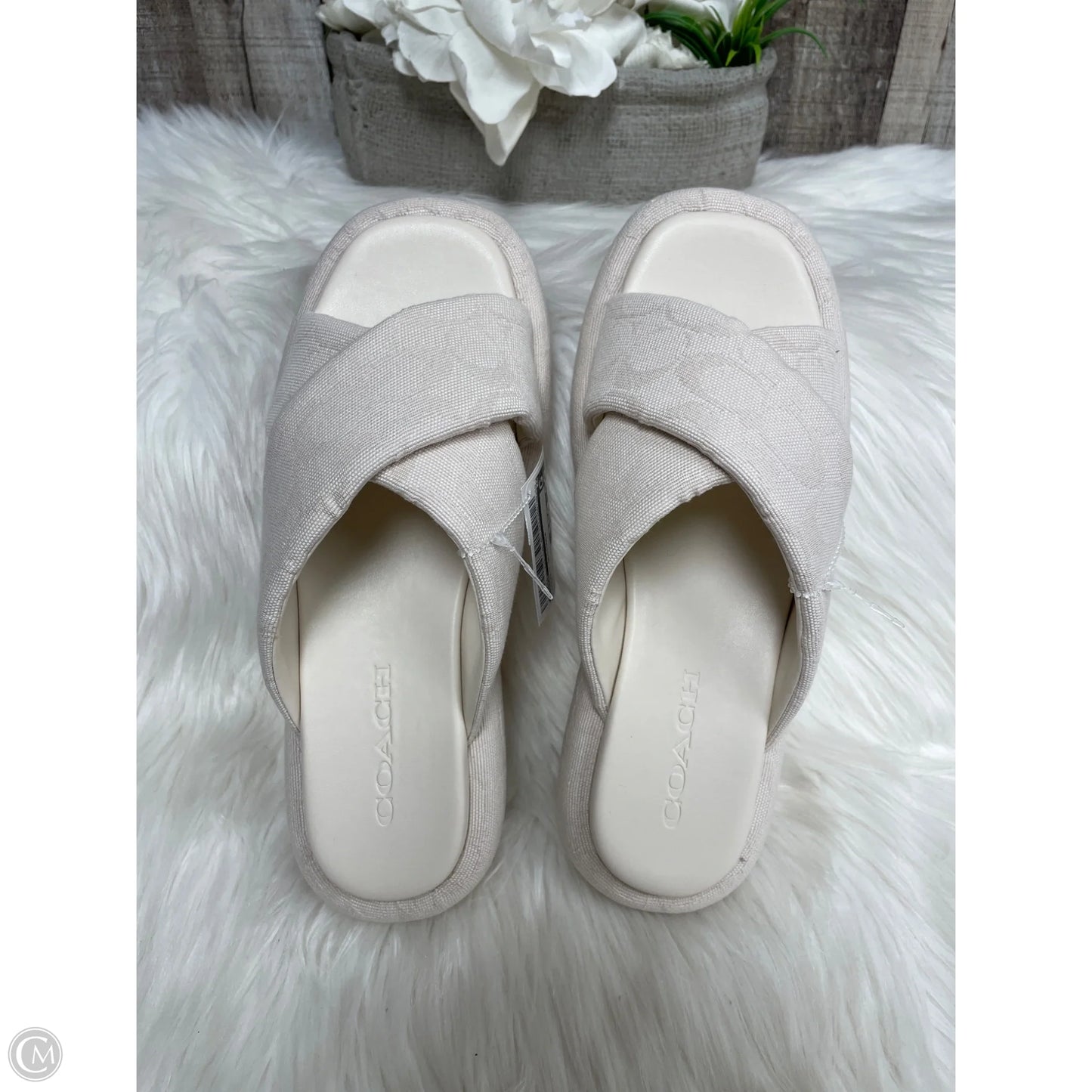 Sandals Designer By Coach In Ivory, Size: 7.5