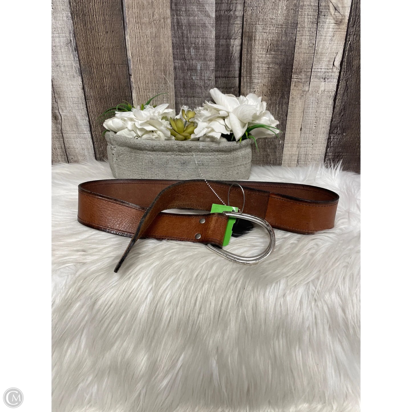 Belt By Fossil, Size: Small