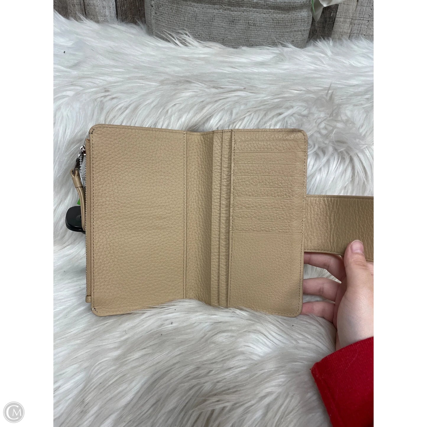 Wallet Designer By All Saints, Size: Large