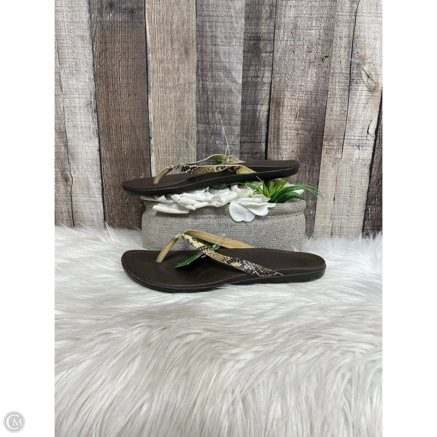 Sandals Flats By Clarks In Green, Size: 8.5