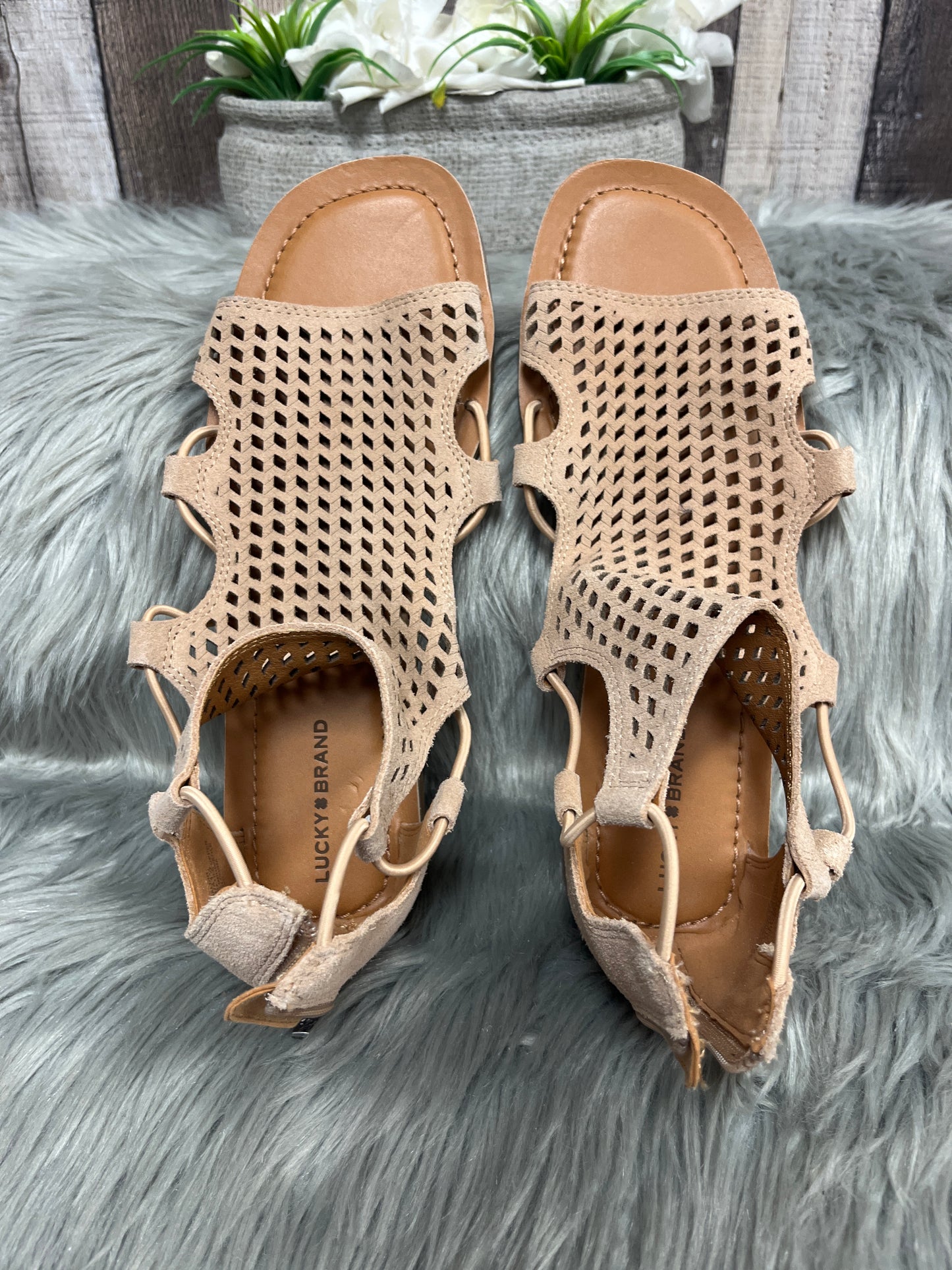 Beige Sandals Flats Lucky Brand, Size 10