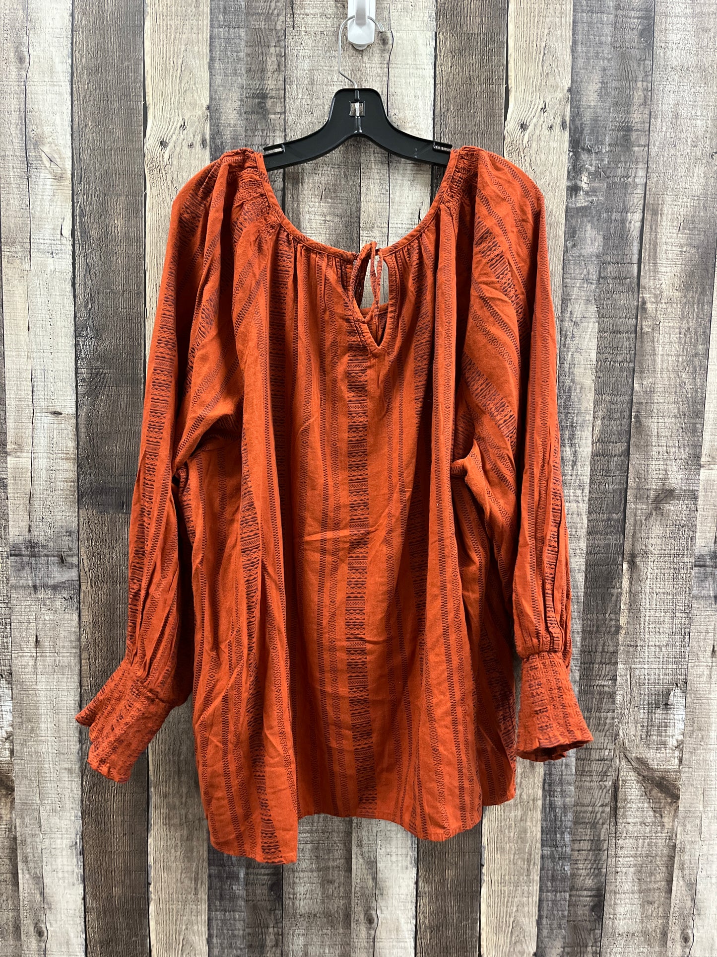 Top Long Sleeve By Terra & Sky In Brown, Size: 4x