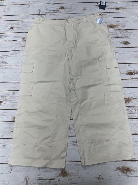 Pants Cargo & Utility By Universal Thread  Size: 18