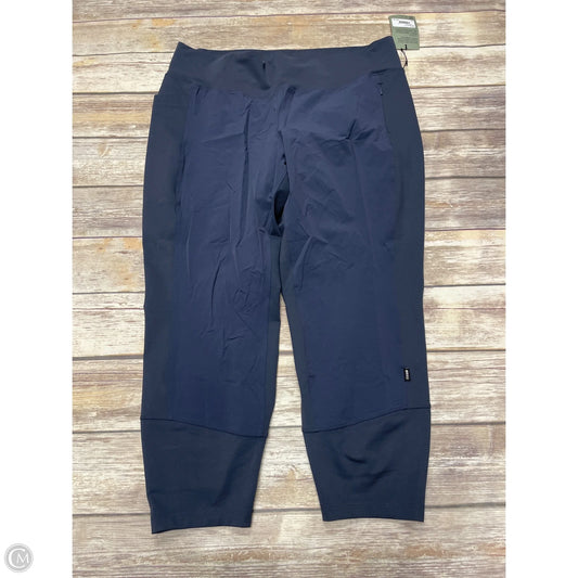 Athletic Pants By Rei In Blue, Size: 2x