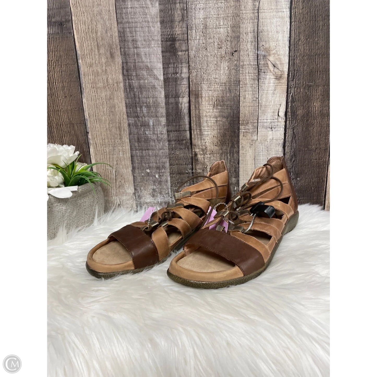 Sandals Flats By Naot In Brown, Size: 8