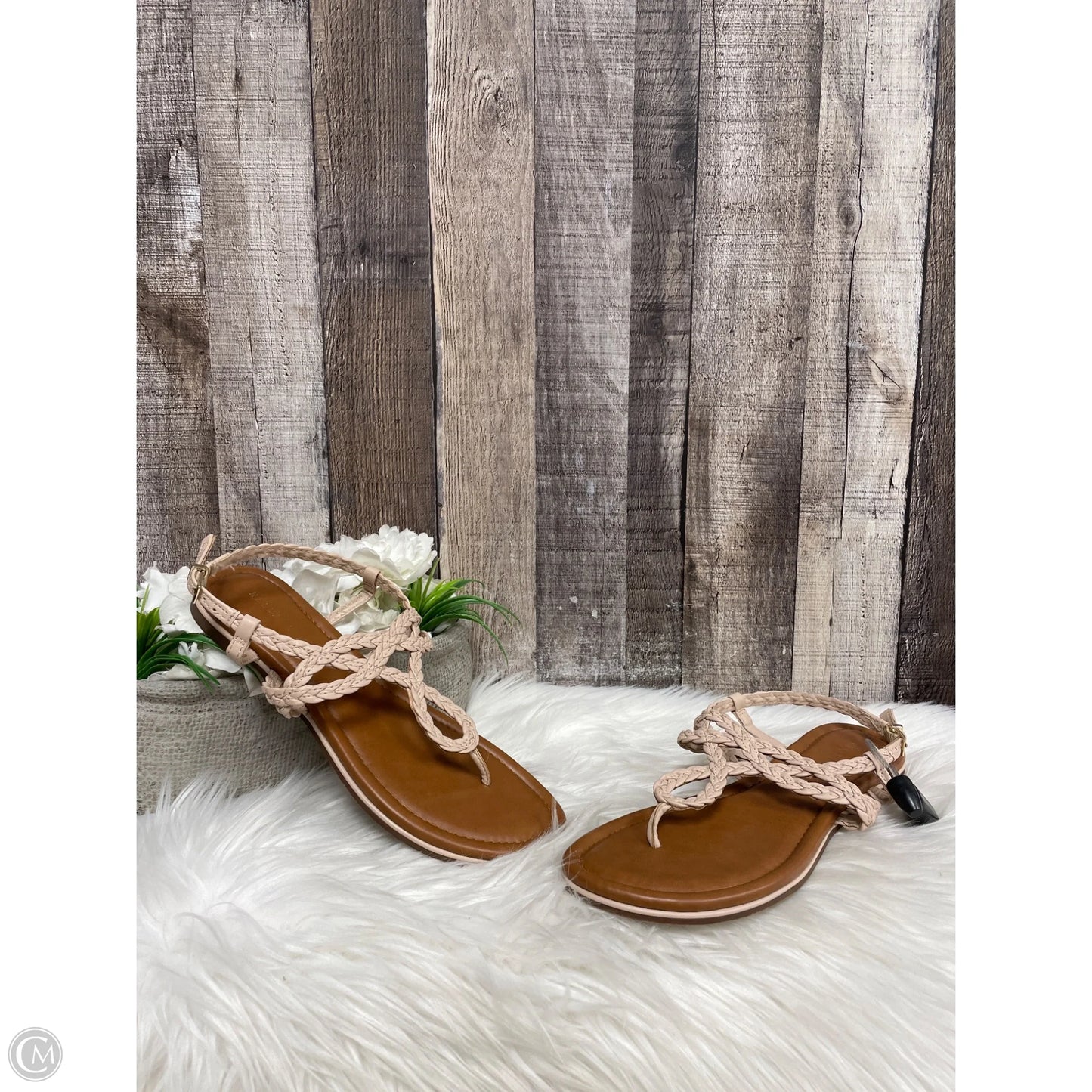 Sandals Flats By Kelly And Katie In Tan, Size: 9