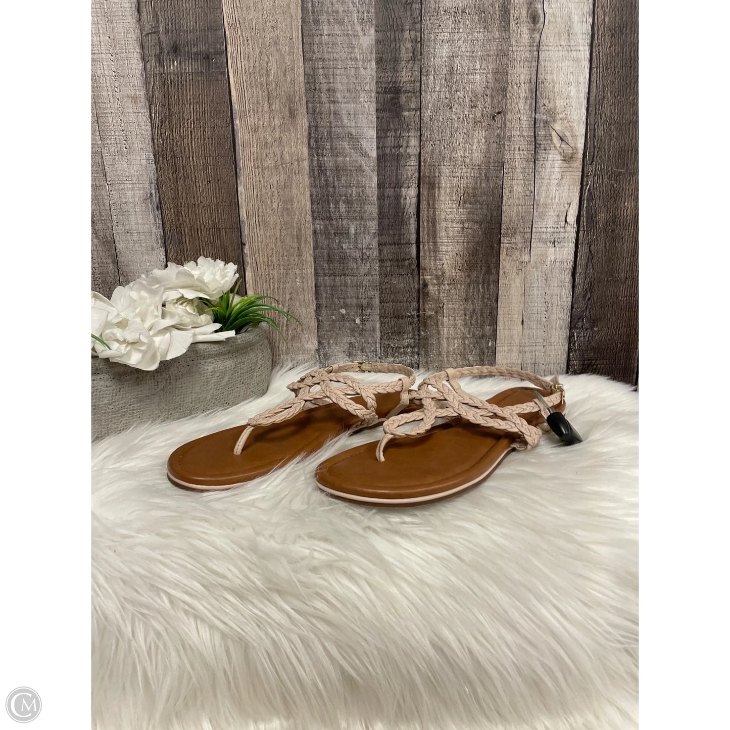 Sandals Flats By Kelly And Katie In Tan, Size: 9
