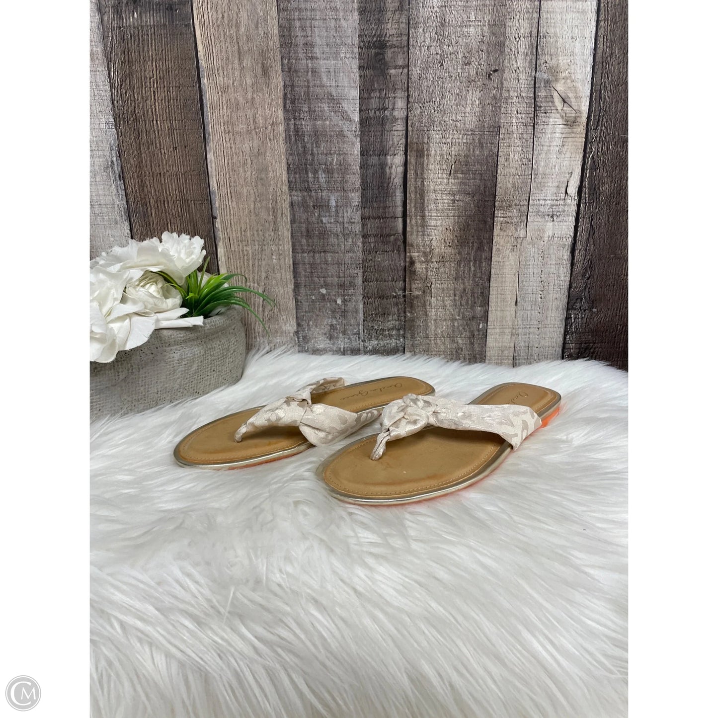 Sandals Flats By Cme In Gold, Size: 6