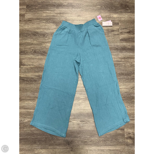 Pants Wide Leg By Joyspun In Blue, Size: M