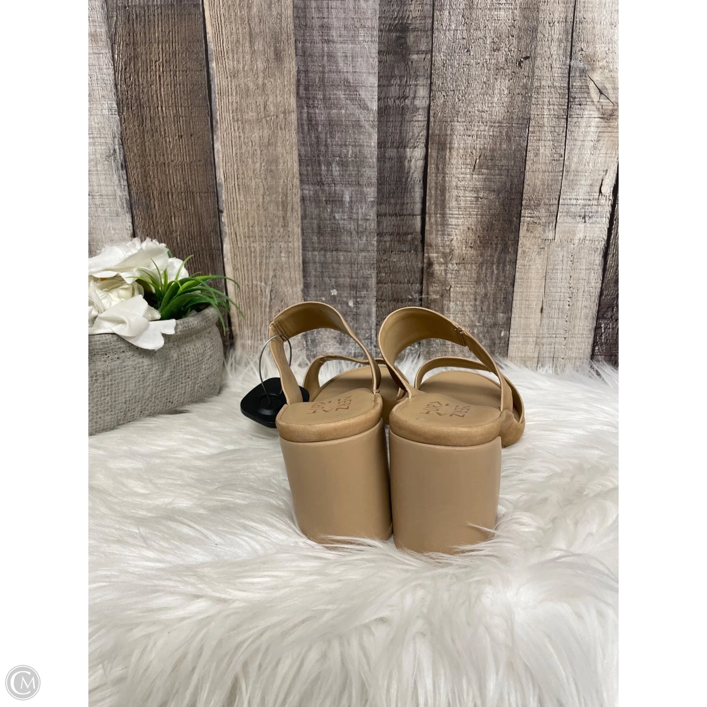 Shoes Heels Block By Naturalizer In Tan, Size: 7