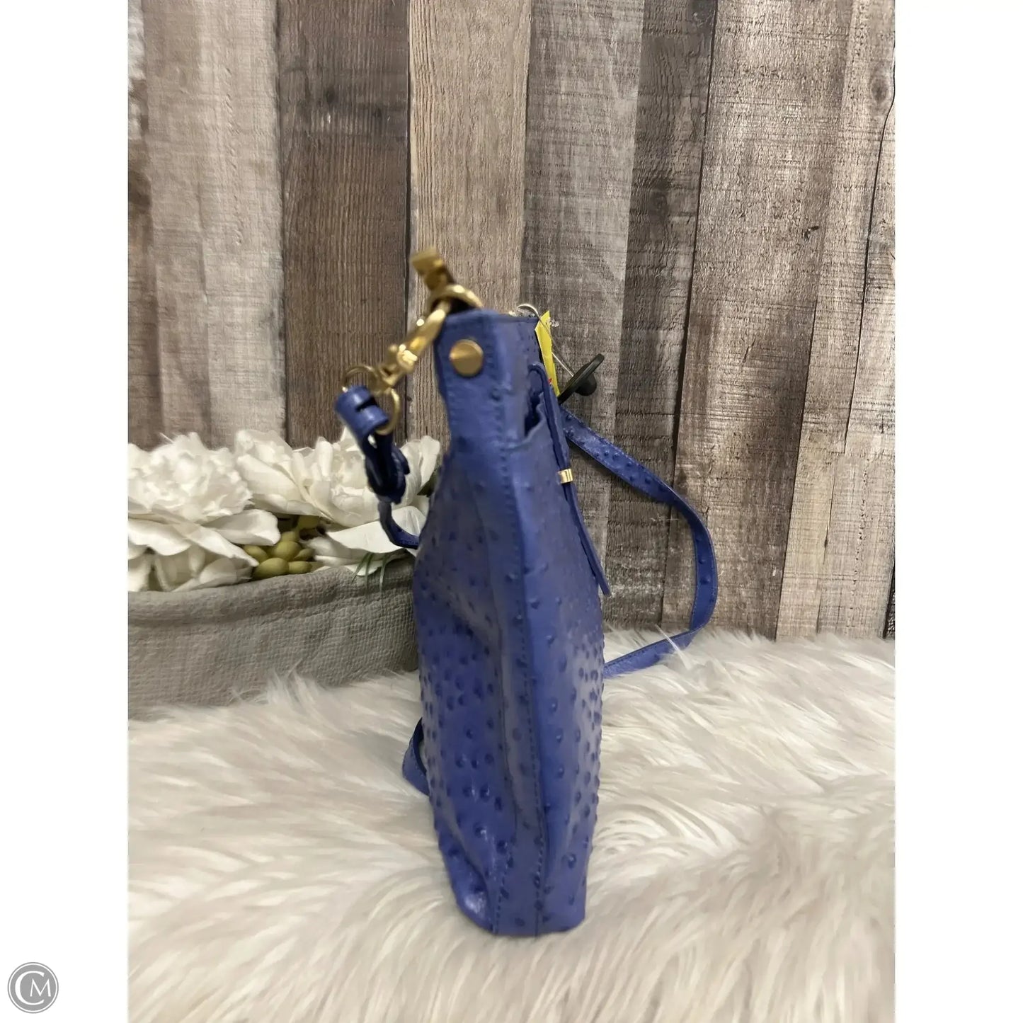 Crossbody Designer By Brahmin, Size: Large