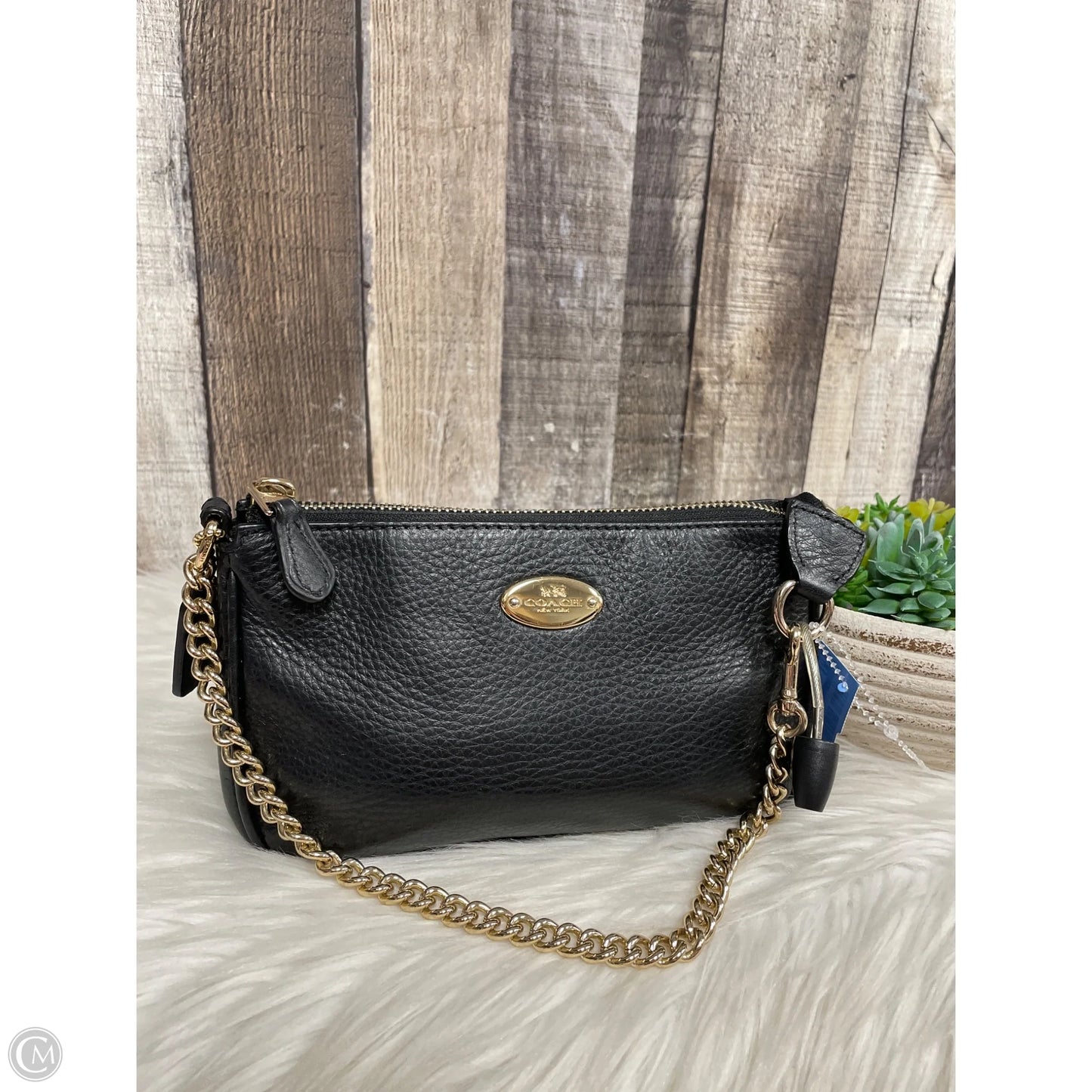 Wristlet Designer By Coach, Size: Small