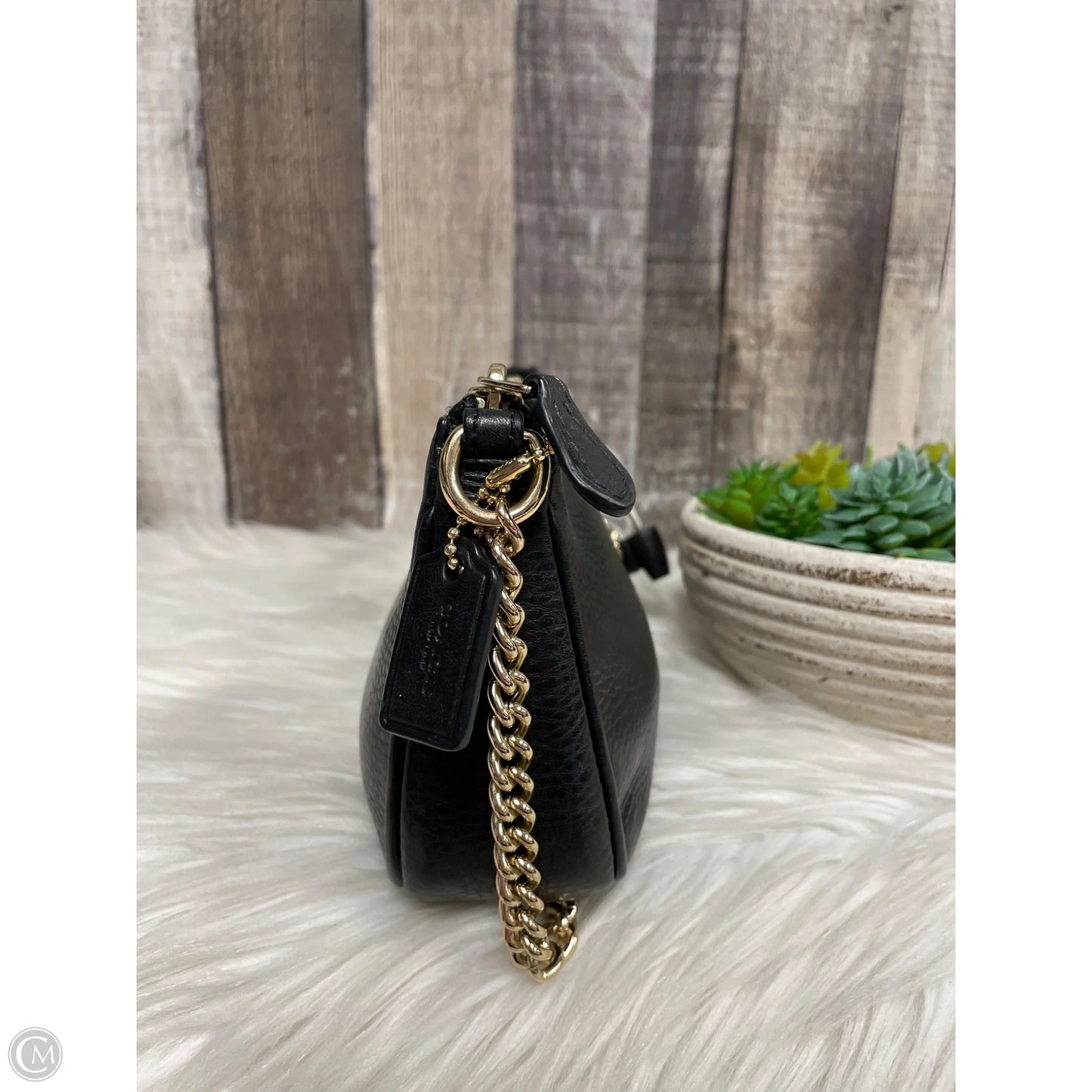 Wristlet Designer By Coach, Size: Small