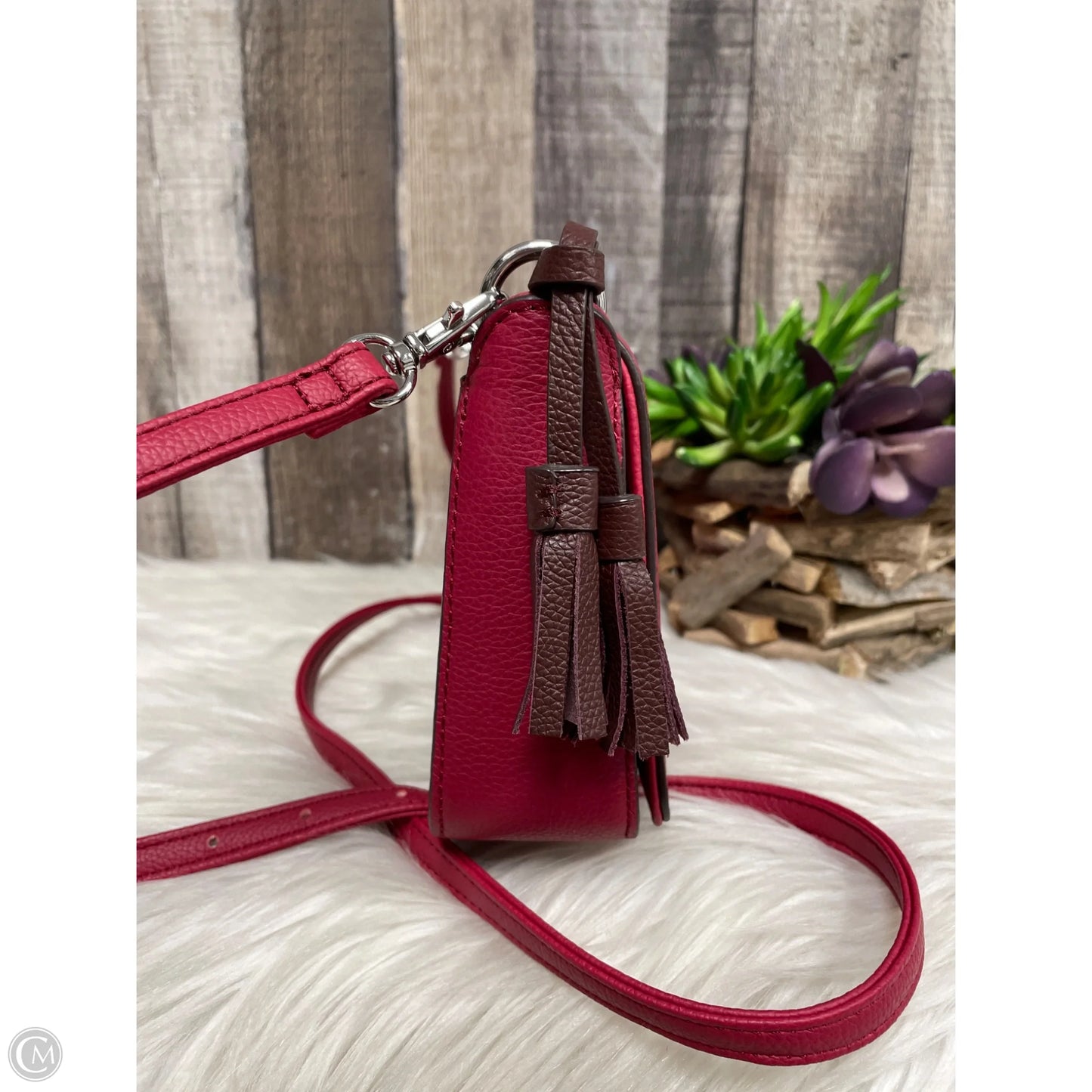 Crossbody Leather By Tignanello  Purses, Size: Small