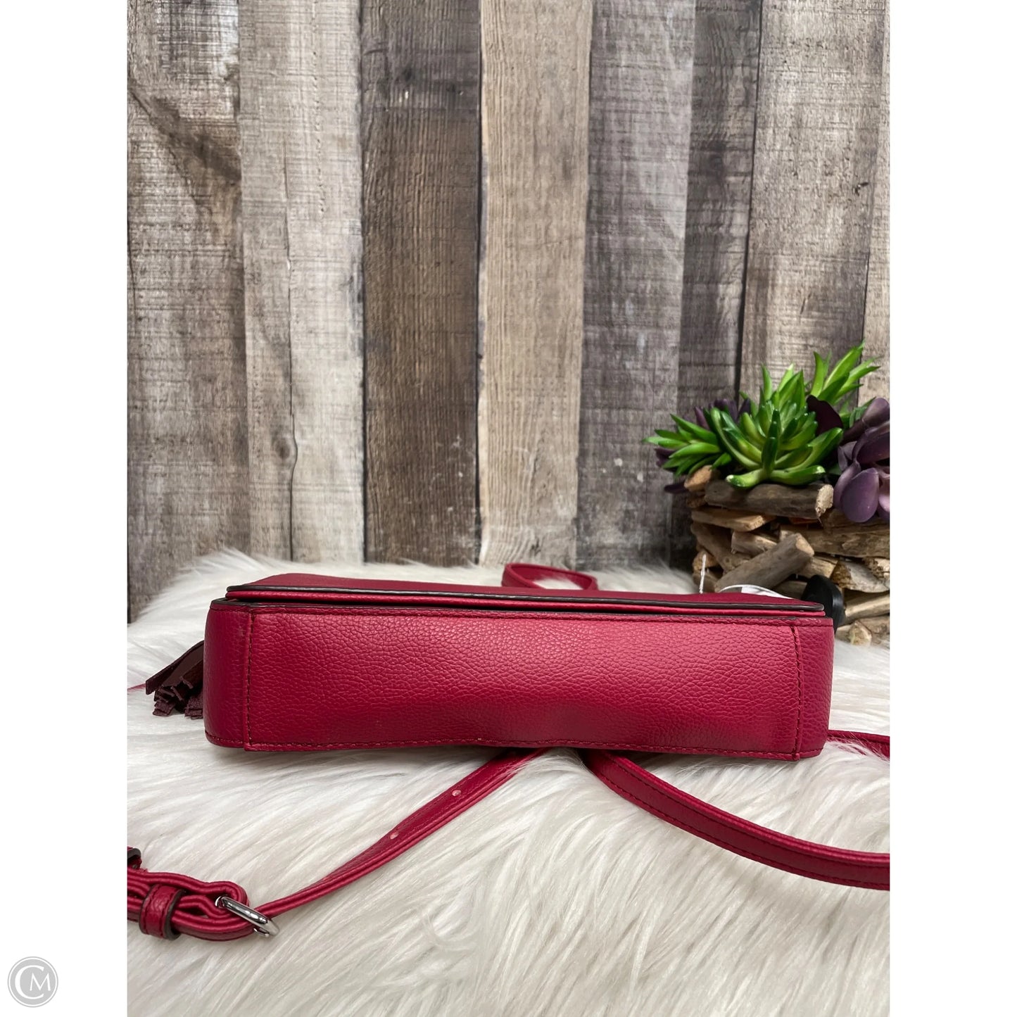 Crossbody Leather By Tignanello  Purses, Size: Small