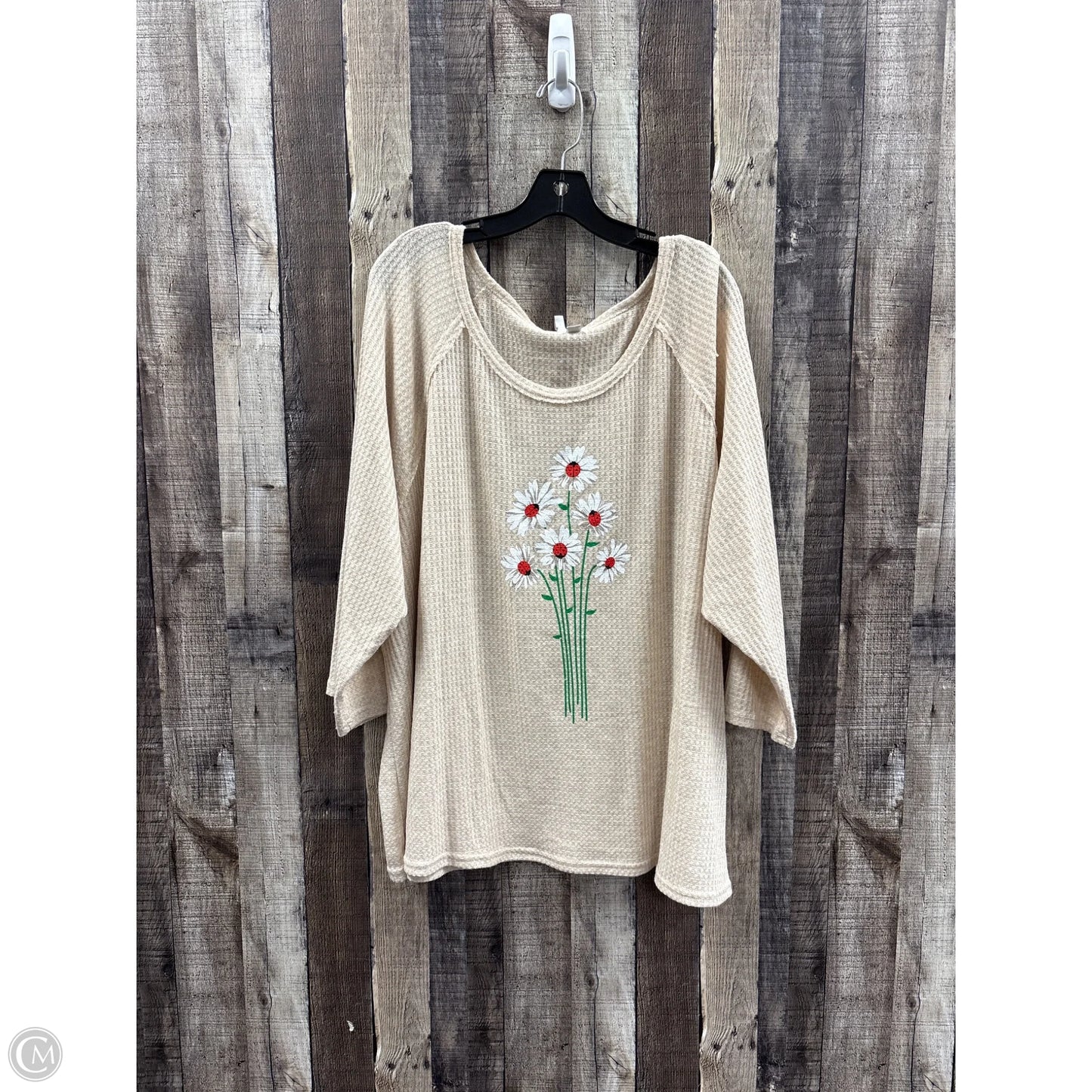 Top Long Sleeve By Cato In Beige, Size: 4x