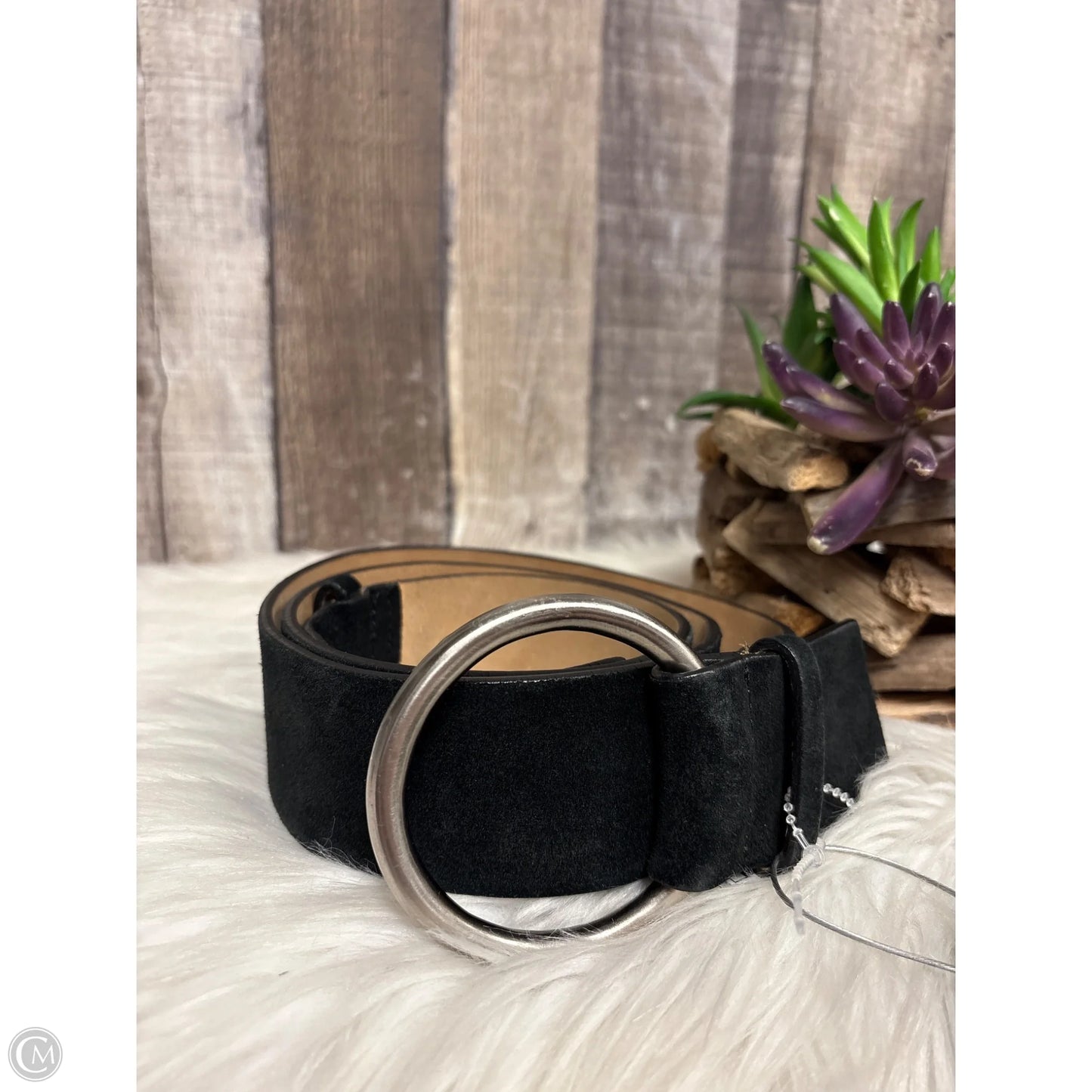 Belt By Anne Klein, Size: Large