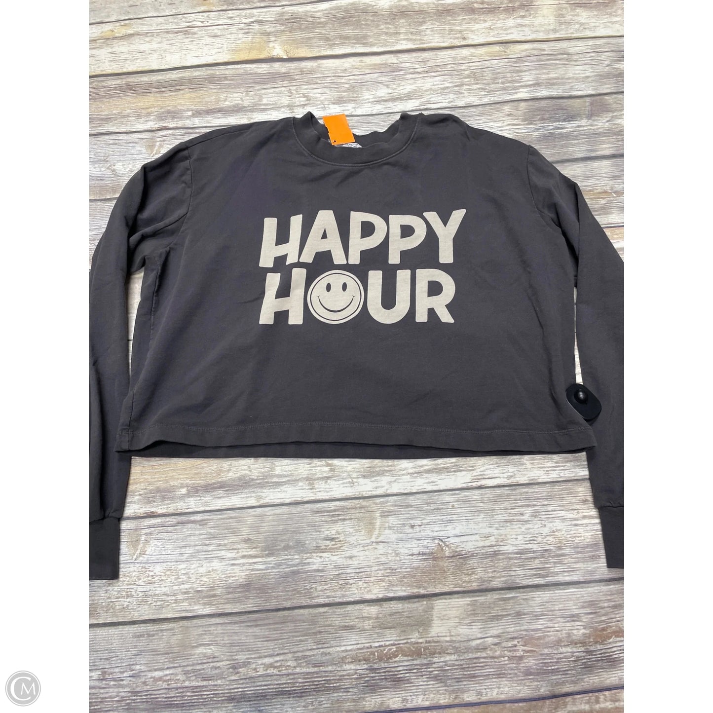 Top Long Sleeve By Project Social Tee In Grey, Size: S