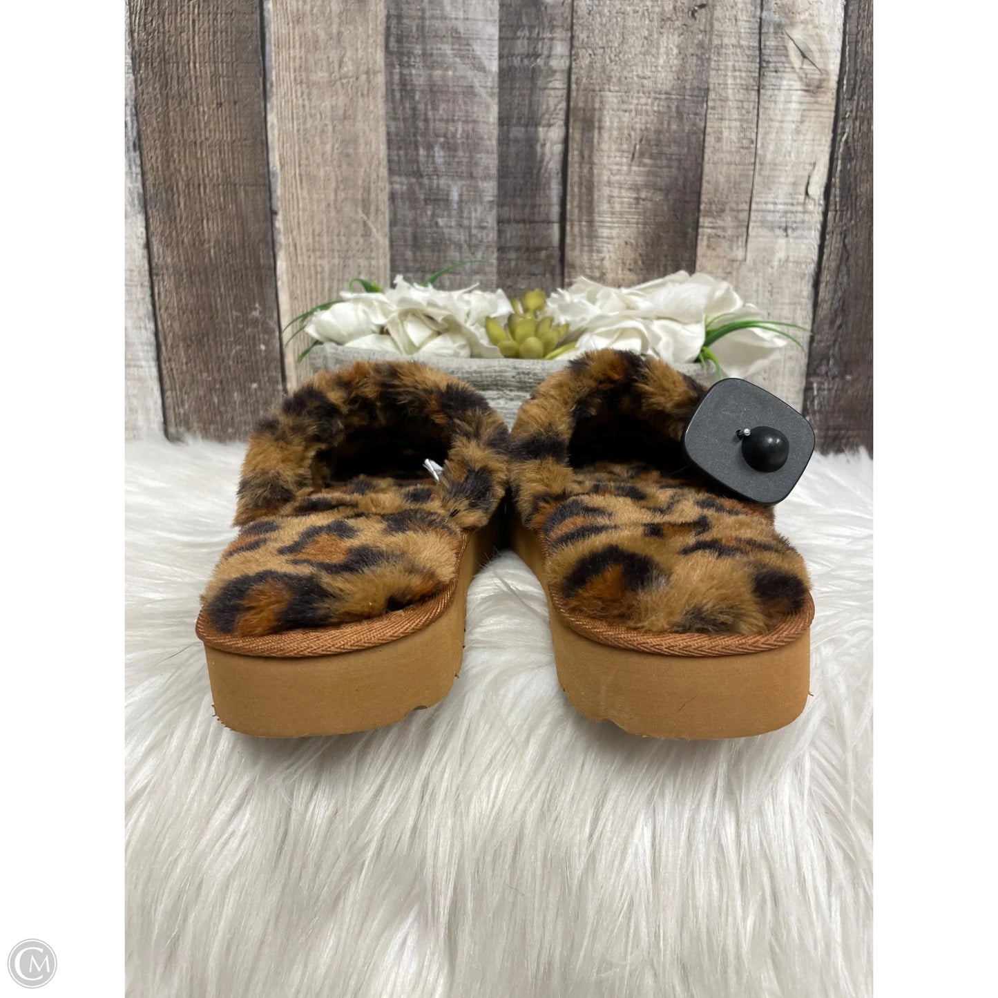 Sandals Heels Wedge By Ariat In Animal Print, Size: 6