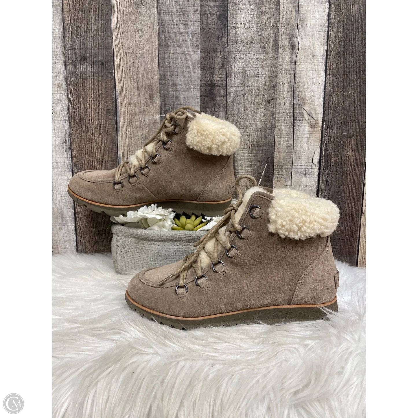 Boots Snow By Sorel In Tan, Size: 8
