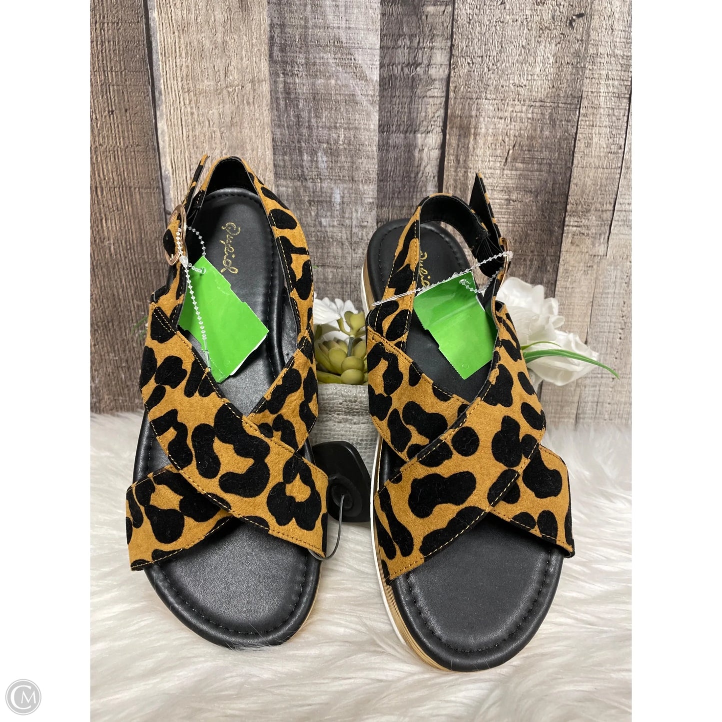 Sandals Heels Platform By Qupid In Animal Print, Size: 8